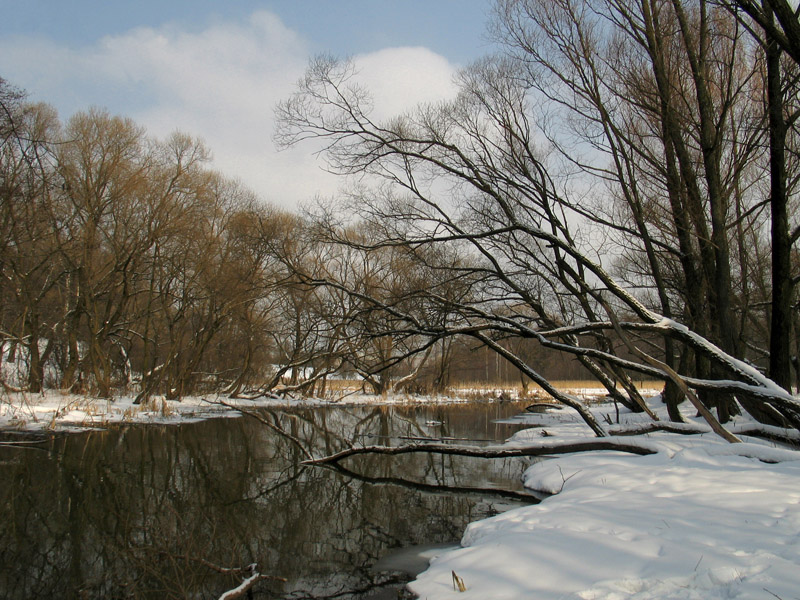 В Лошицком парке