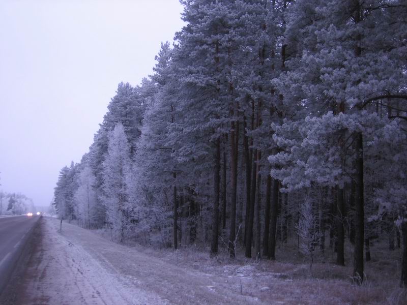 Zasnezhennaja doroga