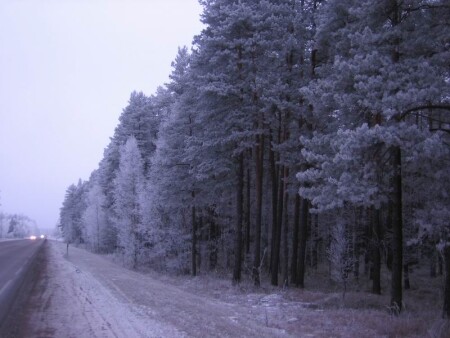 Zasnezhennaja doroga