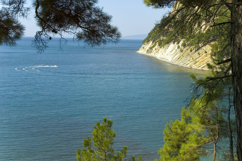 море