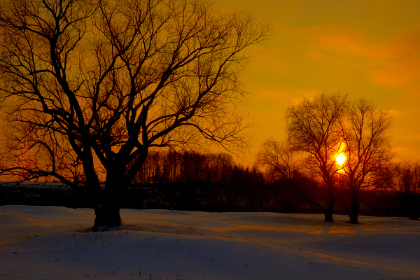 The Siberia...
