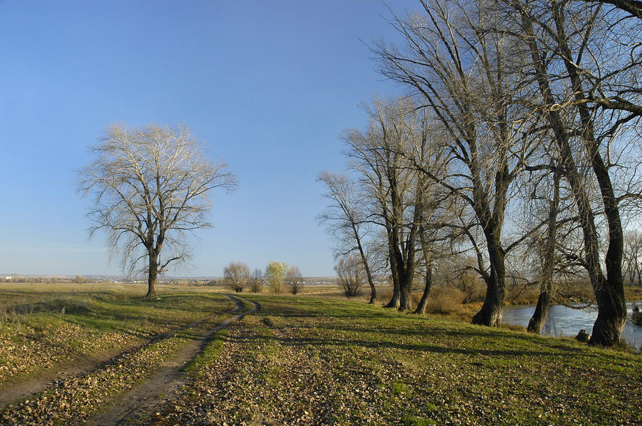 Осень в Белозерках.