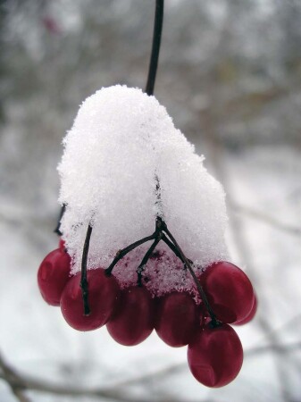 С НОВЫМ!
