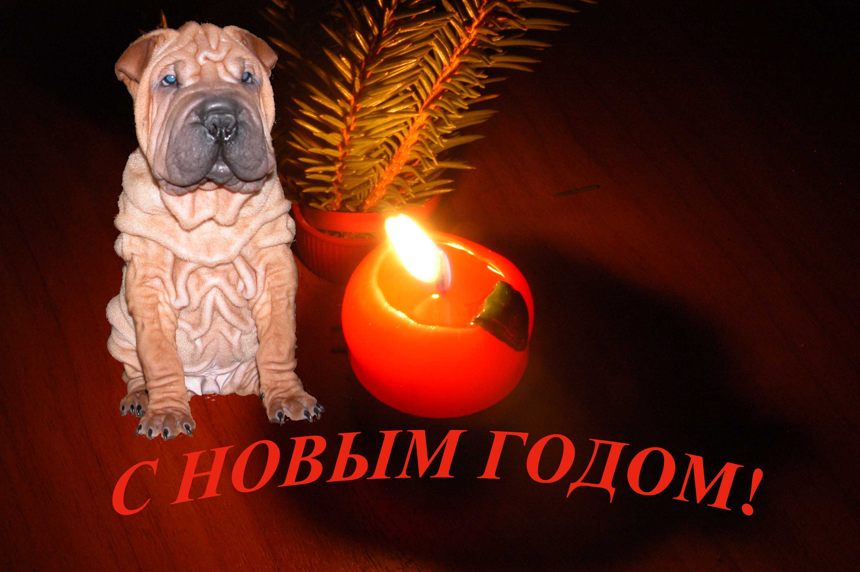 С НОВЫМ ГОДОМ!