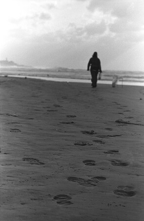 Заметая следы