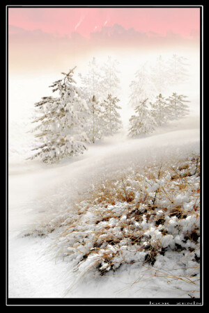 30 december