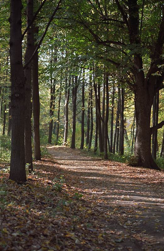 пра осень в предновогодний день