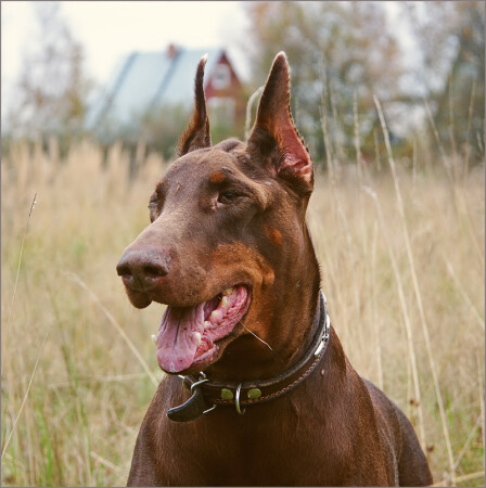 С наступающим!