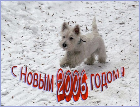 С Новым 2006 Годом