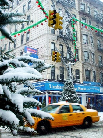"HAPPY NEW YEAR!"NEW YORK