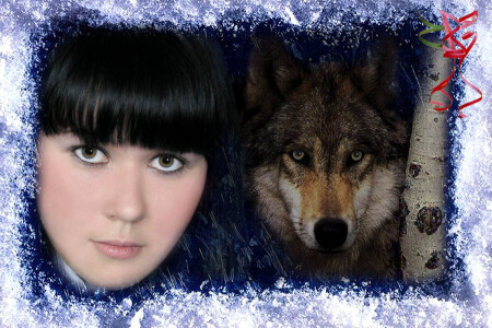 Новогодняя