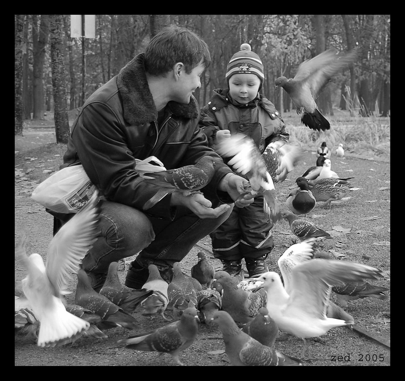 ...о птичках