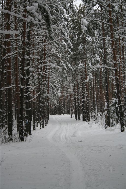 Зимняя дорога