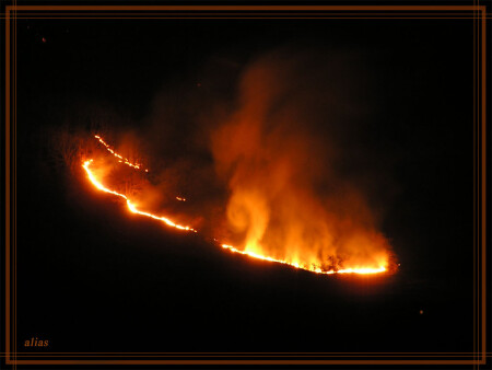 лесной огонь