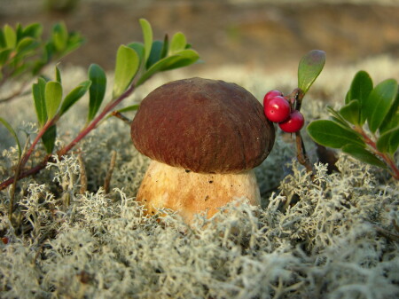 А я красавчик!