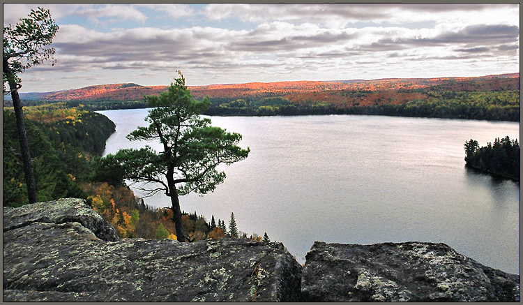 Algonquin PP (12)