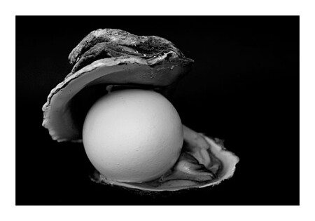 Oyster Egg