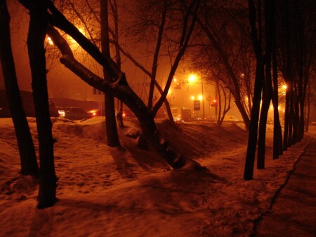 Янтарь