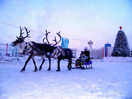 Новогодняя