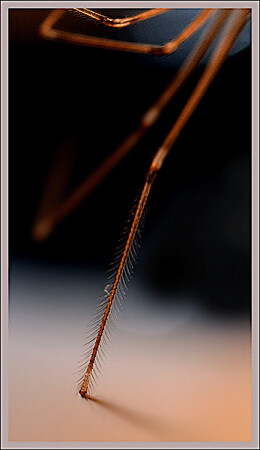 Прикосновение