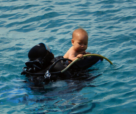 Check Dive
