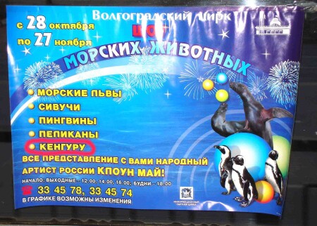 Морские сумчатые :-))