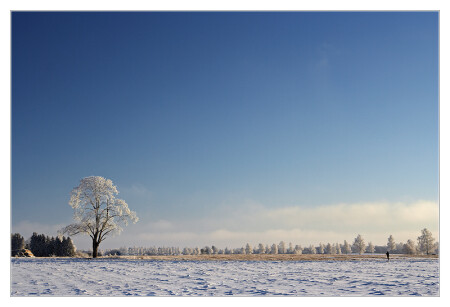 про маленького человечка