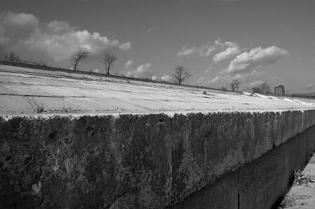 Линия жизни.