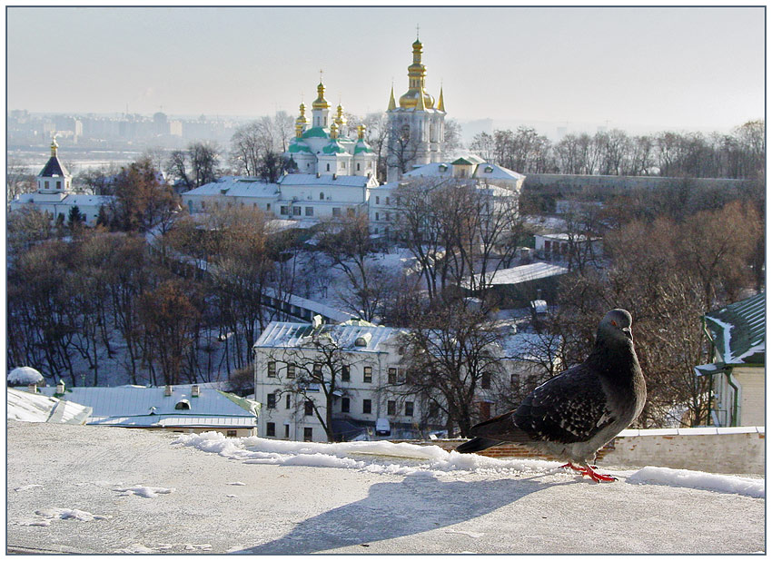 Киевская картинка с голубем