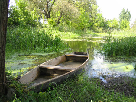 Рыбацкими тропами..