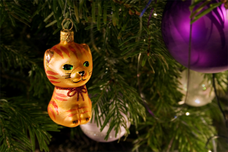Кошка на дереве