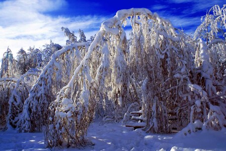 Зимнее умиротворение