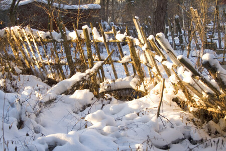 старый забор
