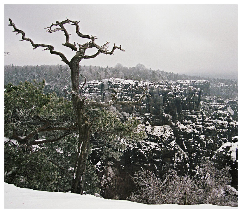 Affenstein (I)