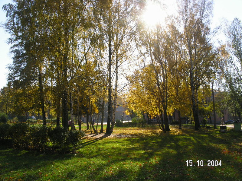 Осень