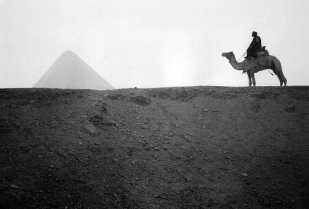 неподвластные Времени