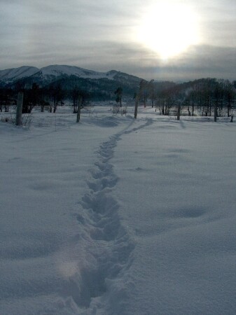 Way on Snow