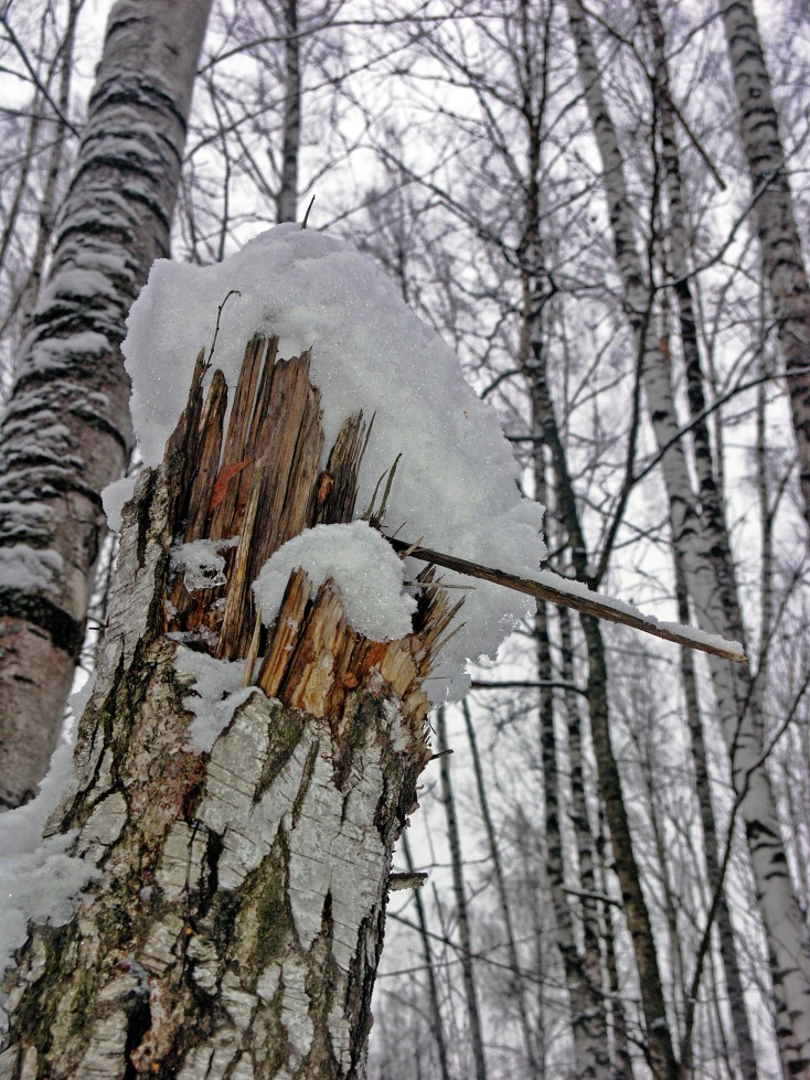 Острая память живого