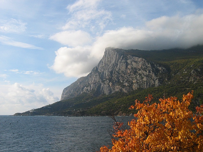 Осень в бочке лета