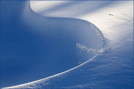 Зимние формы