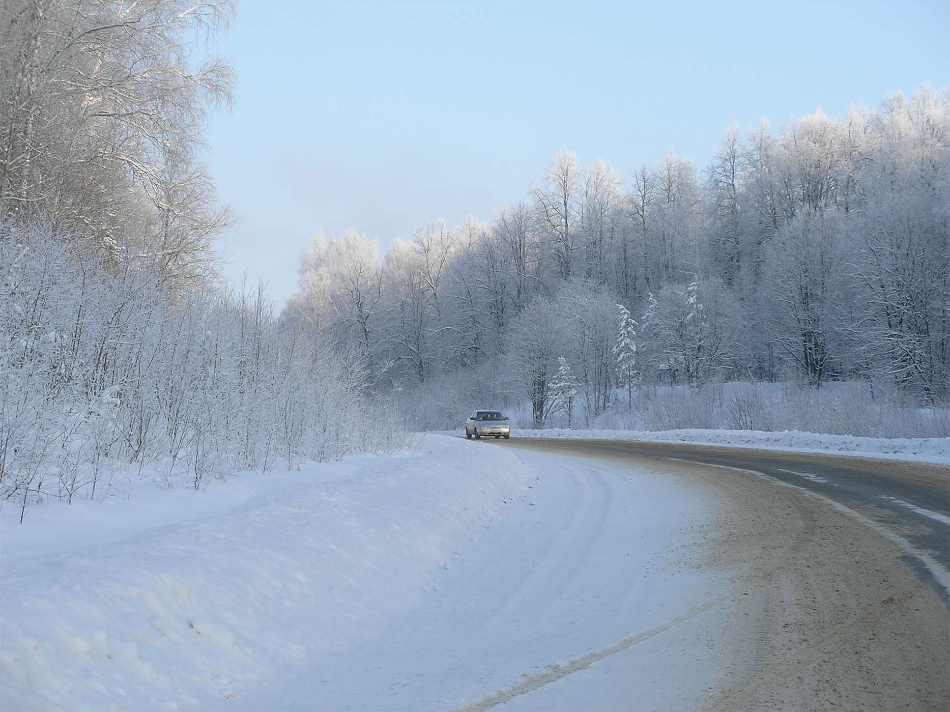 Полдень в лесу