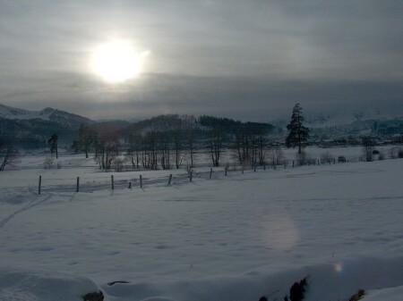 Winter