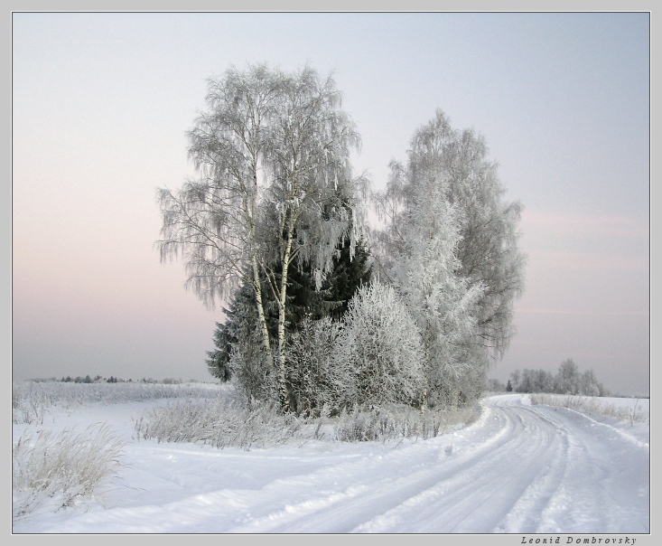 Морозное утро