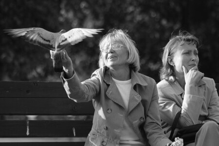 Любовь и голуби