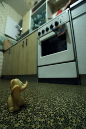 Колоброд