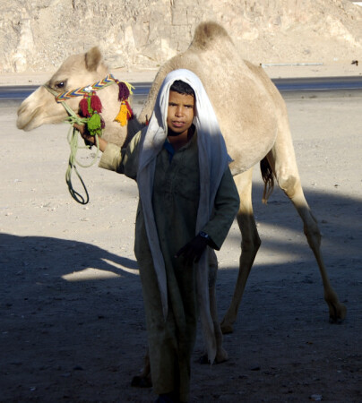 Житель пустыни