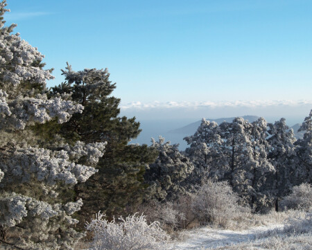 Крымский мороз