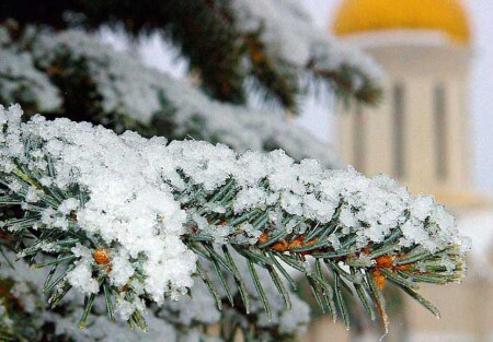 Зимние зарисовки