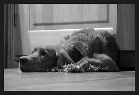 пойти выпить йаду?...