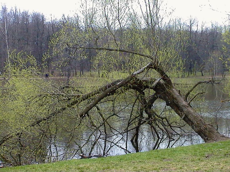 Возрождение